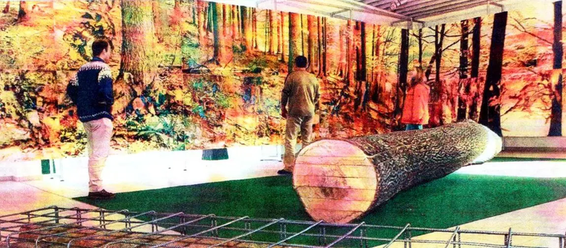 Projekt Naturgewalten - Ausstellung in der Firma Joas, Kaufbeuren Projekt Naturgewalten - Ausstellung in der Firma Joas, Kaufbeuren